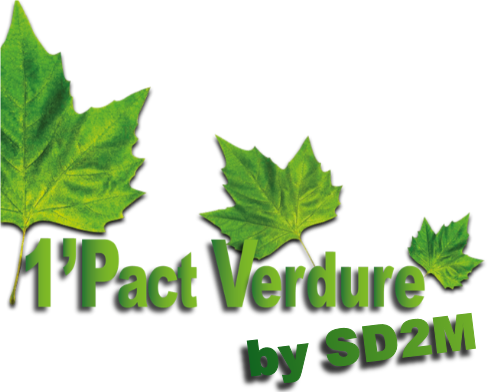 1 Pact Verdure by SD2M