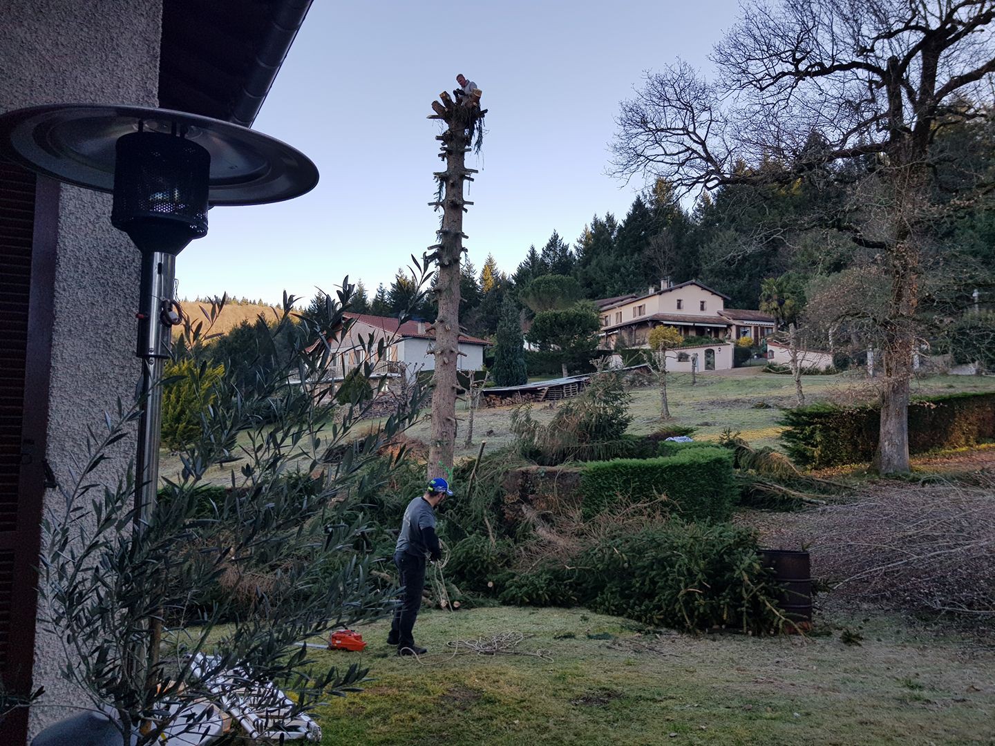 ﻿Coupe d’arbre à Montréjeau