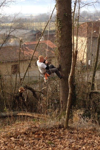 ﻿Rognage et dessouchage à Aurignac