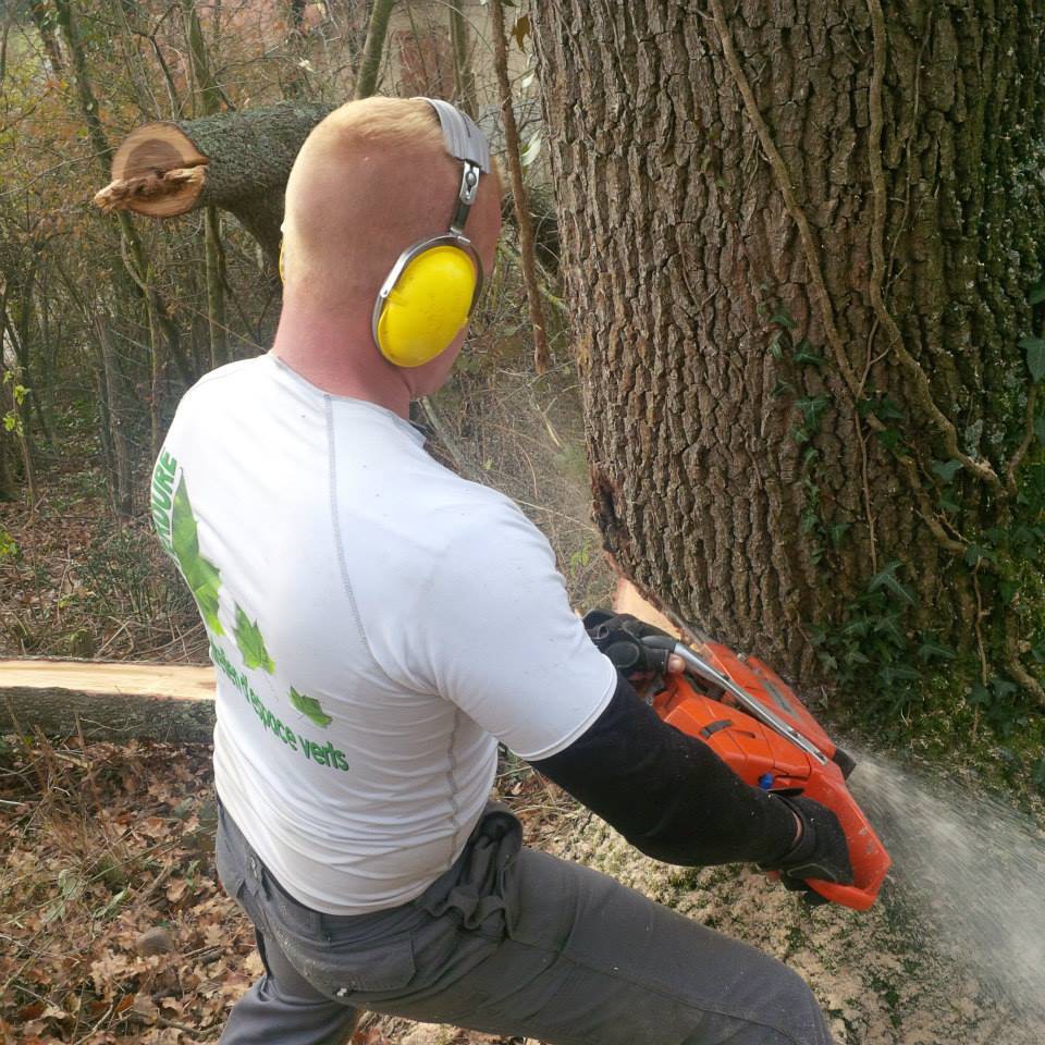 ﻿Élagueur professionnel à Bagnères-de-Luchon