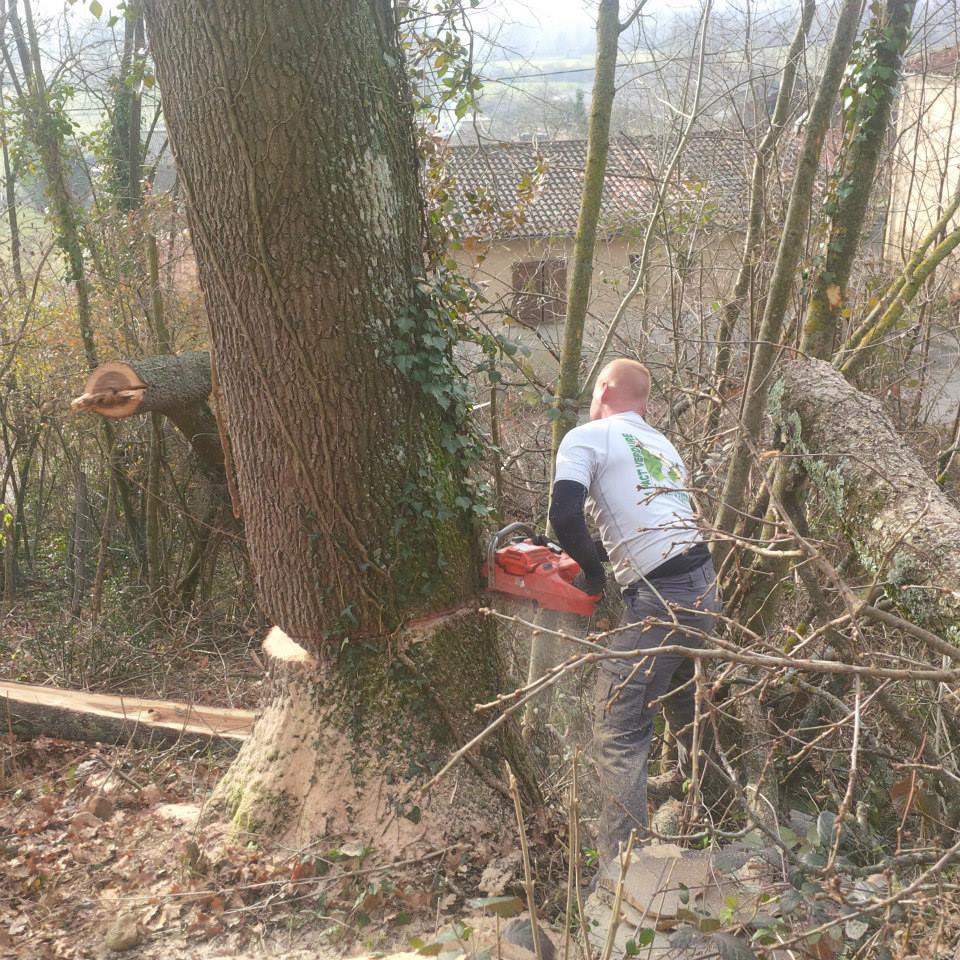 ﻿Élagage en grande hauteur à Lannemezan