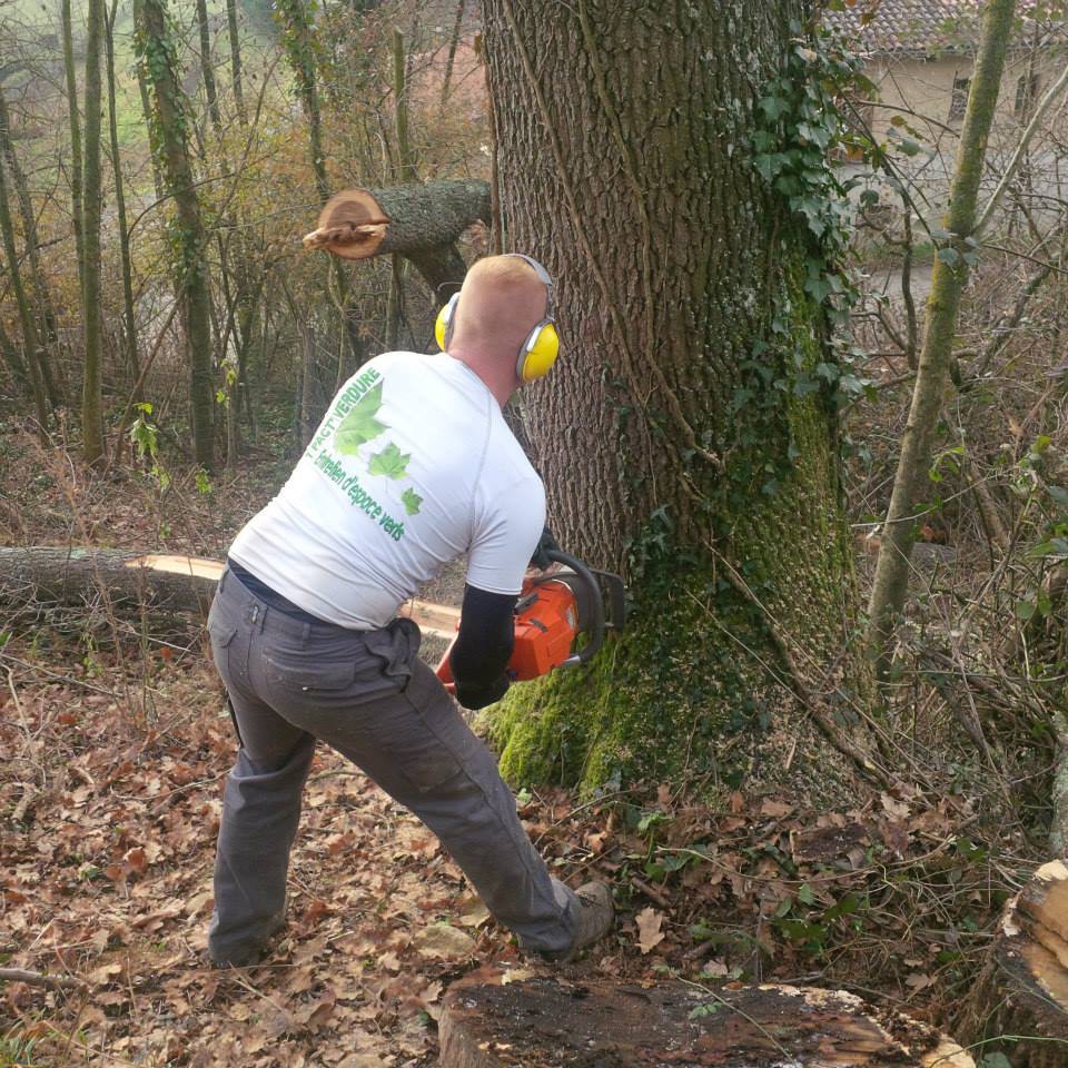 ﻿Élagueur professionnel à Tarbes